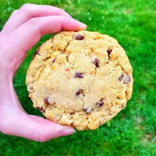 Out of this World Chocolate Chip (Package of 5)