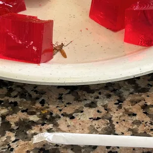 That's all I have to say