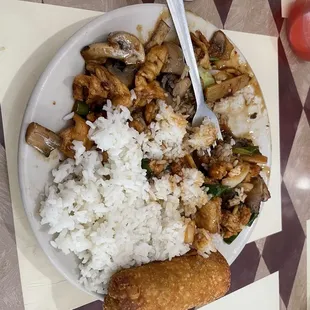 Chicken and mushroom spicy, steamed rice, and egg roll lunch plate.
