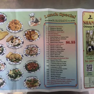 Lunch Special served with Pork Fried Rice or White Rice and a free soda