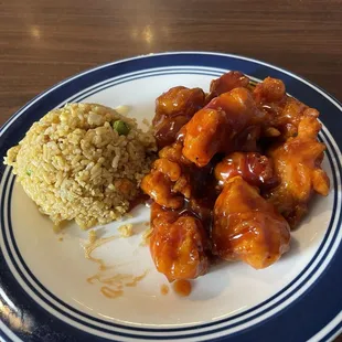 General Tso's Chicken &amp; Fried Rice - Tasteless rice and chicken full of ketchup-barbecue-based sauce. Don't bother.