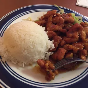 Teriyaki shrimp and steamed white rice