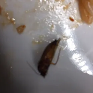 Dinner take out. 1/07/17