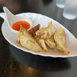 Pan-Fried Pot Stickers (6pcs)