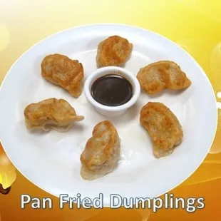Pan Fried Dumplings