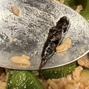 A sautéed cricket