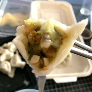 Vegetable Steam Dumplings