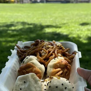 Pan fried dumplings and thick noodles.