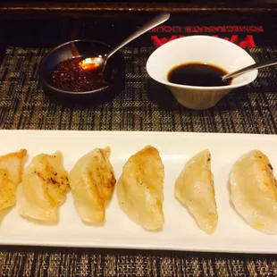 Pan Fried Pork Dumplings