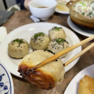 Pan-fried pork bun (crispy bottom!)