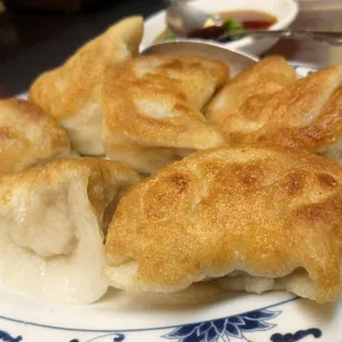 Meat Dumpling