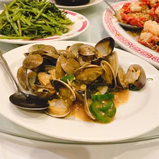 oysters and mussels, food