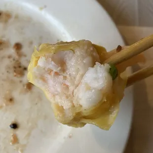 Internals of Shrimp Shumai