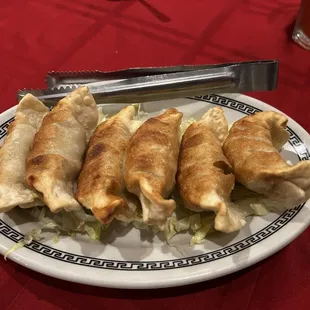 Pan 6 Pieces Fried Dumplings