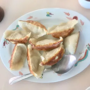 Fried Dumplings