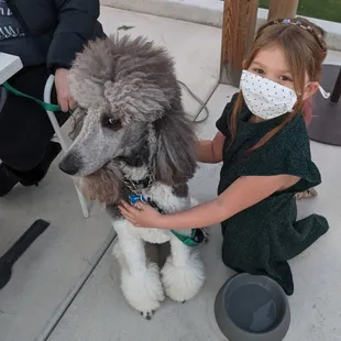 Dog friendly patio