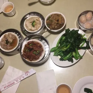 Pan Fried Pork Dumpling