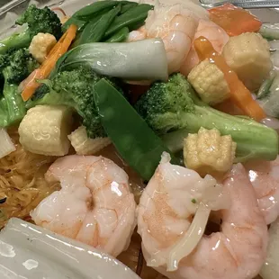 Pan Fried Noodles