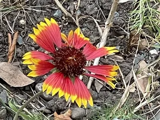 Crow Canyon Park and Hall