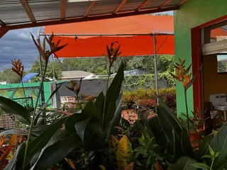 Tampa Bay Farmers Market