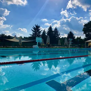 Olympic-size Swimming Pool