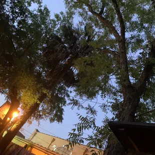 Gorgeous quiet night