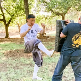 Shifu demonstrating a kick