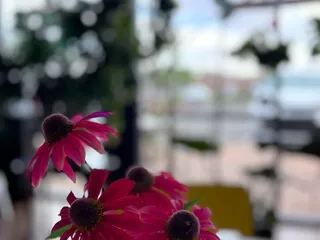 Berry Beet Juice Bar