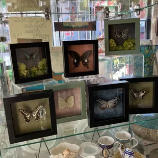 Buttery boxes by Haley Vallier