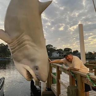 Captivated by the shark or too much to drink?