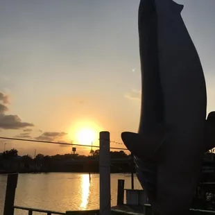 Relax and watch the sun go down from our one of a kind view!