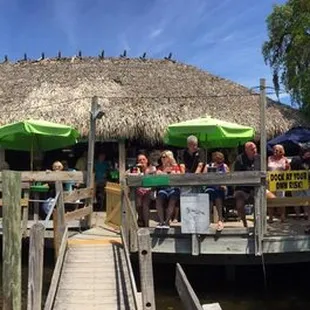 Shark Bites Tiki Bar located on the beautiful Cotee River, hard to find Impossible To Forget. Come by car or boat &amp; enjoy riverside dining.