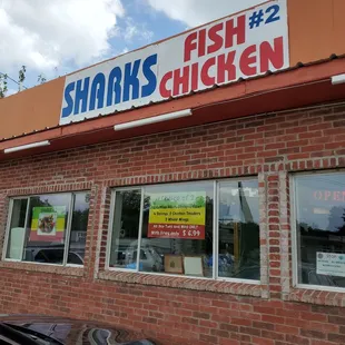 Side view of Sharks.