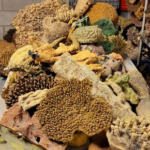 Artificial corals for the aquarium.