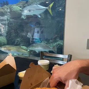 a fish tank with fish in the background