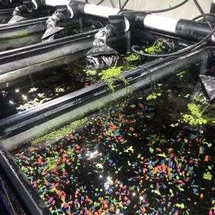 Above view tank filtration system