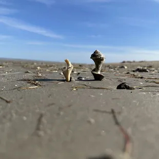 a rock stack on the beach