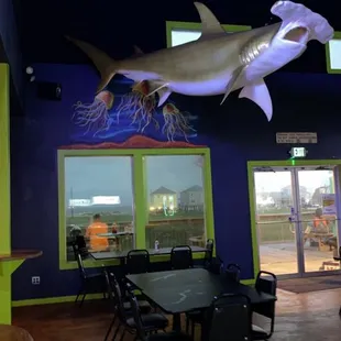 a shark hanging from the ceiling