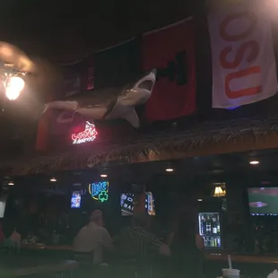 Full bar with shark above it. Great atmosphere &amp; nice people