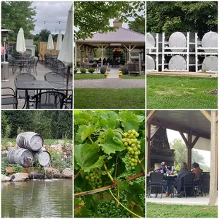 These are just a few pictures of the patio(s) and their pond and vineyard!