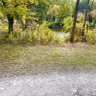 Walking trail with water view