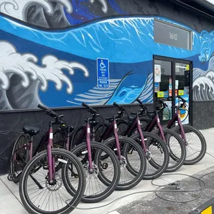 Electric Bike rental for $10 per hour