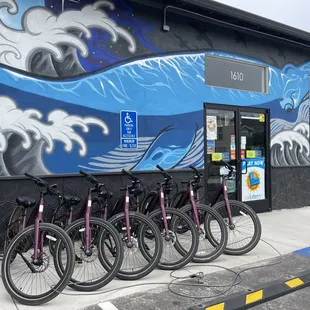 Electric bike rental $10 per hour.