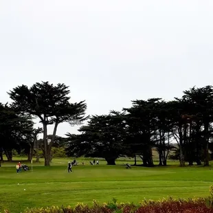 Our view while seated