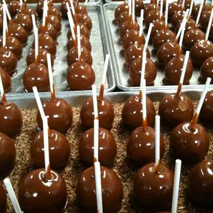 a tray of chocolate candies