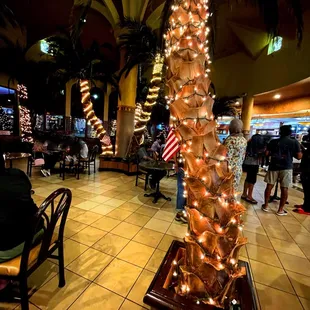 a christmas tree with lights