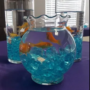 Goldfish complete the look.