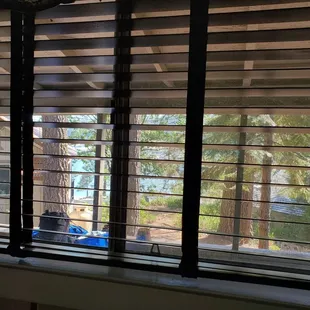 View from the window