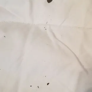 What was scattered ALL over the pull out matress cover. Later to be told by management it "wasn't dirty."