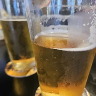 Tasty, cold Tioga Golden 99 on tap!